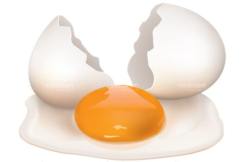 Broken Egg Shell with Yolk on the Floor Broken Egg Shell with Yolk on the Floor